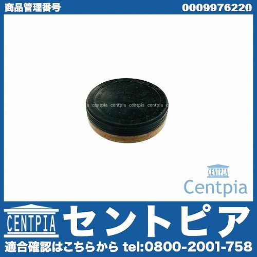 メクラキャップ(カバーキャップ) メルセデスベンツ [0009976220]