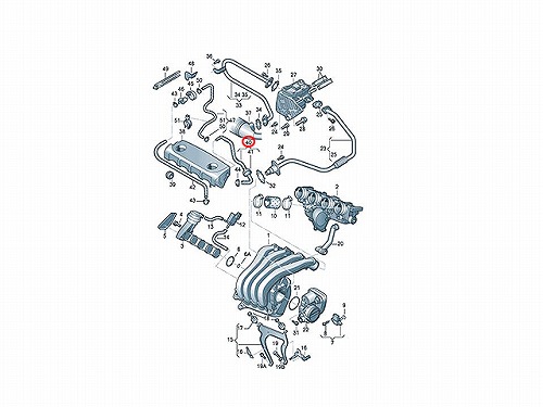 純正 バキュームホース VW(フォルクスワーゲン) [06F131055]
