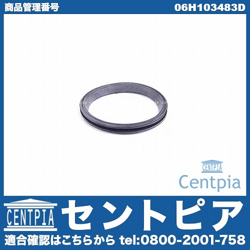 純正 ガスケット(カムマグネット) VW(フォルクスワーゲン) [06H103483D]