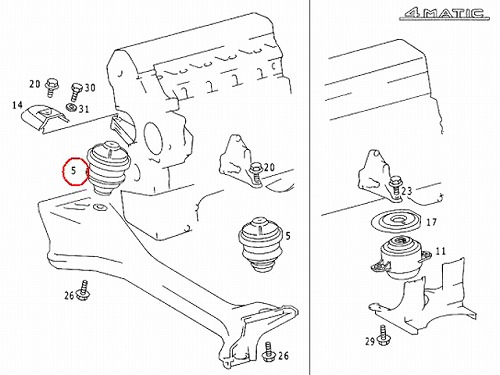 エンジンマウントブッシュ フロント メルセデスベンツ [1242401917]