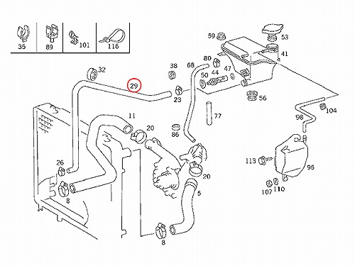 ウォーターホース メルセデスベンツ [1245000875]